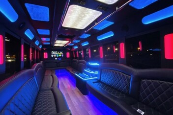 Alexandria Limousine Bus Interior