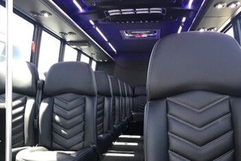Alexandria Minibus Interior