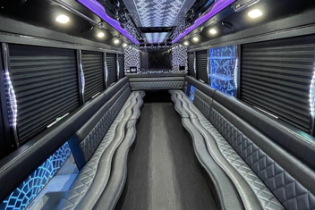Alexandria Party Bus Interior