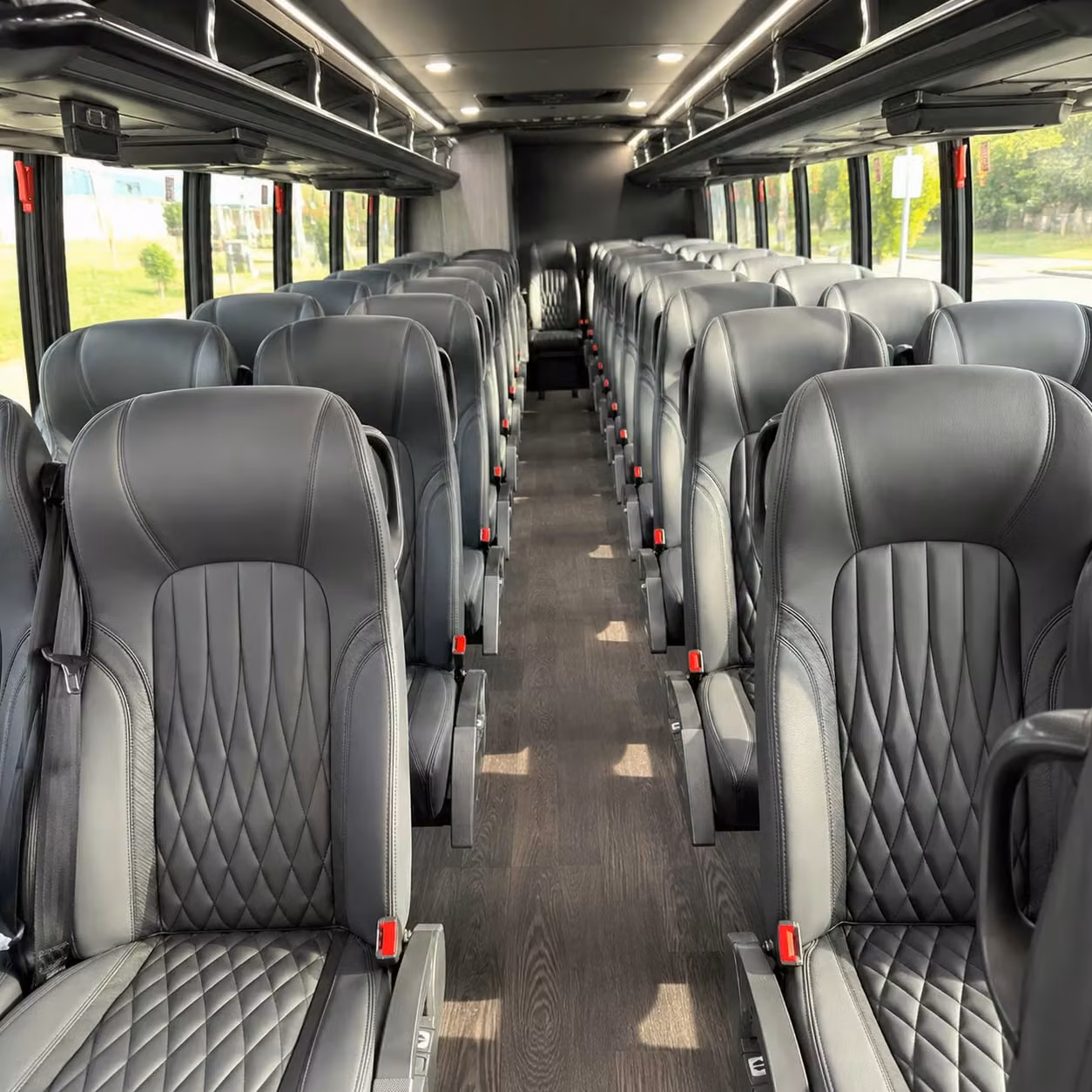 alexandria 28 passenger minibus rental