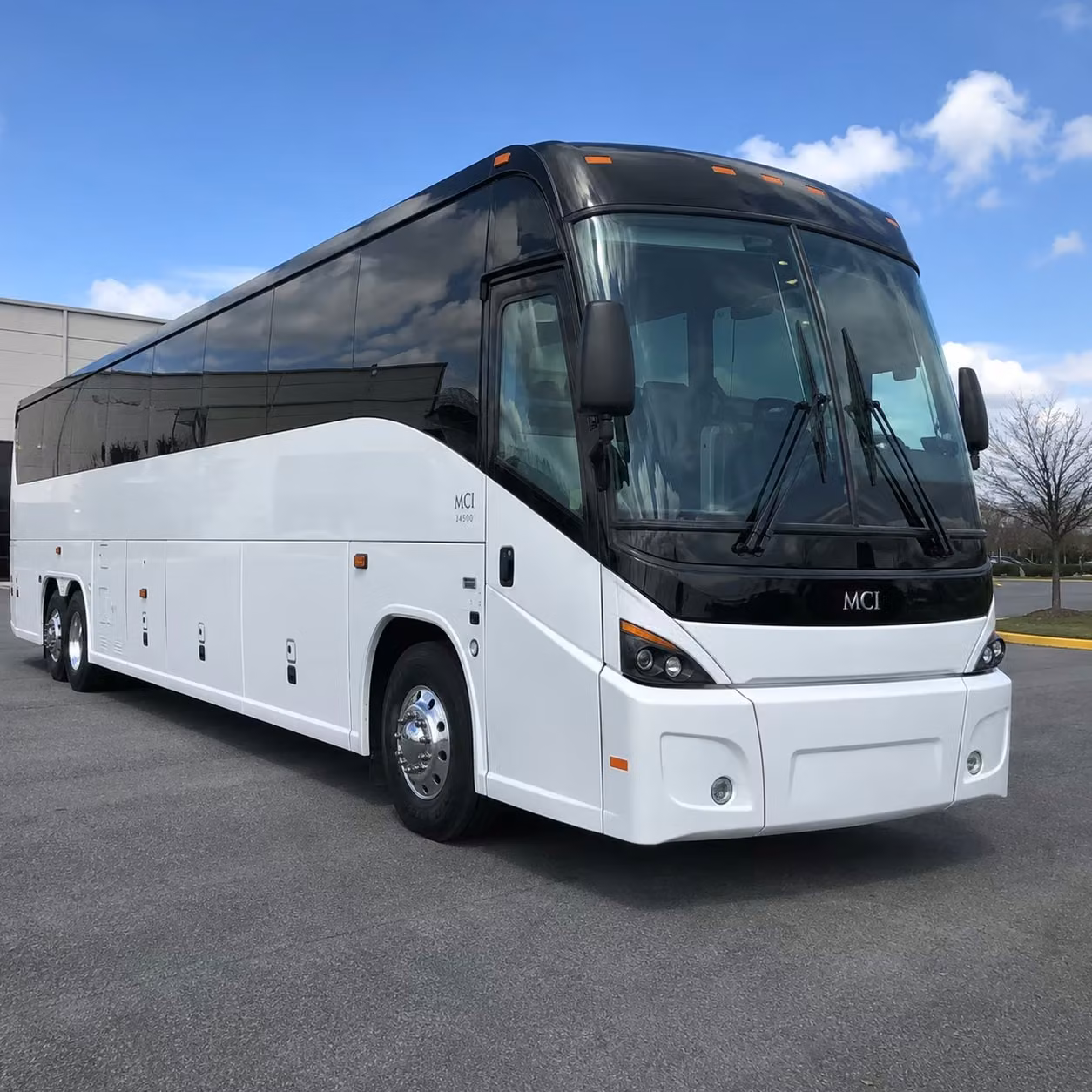 alexandria airport shuttle services