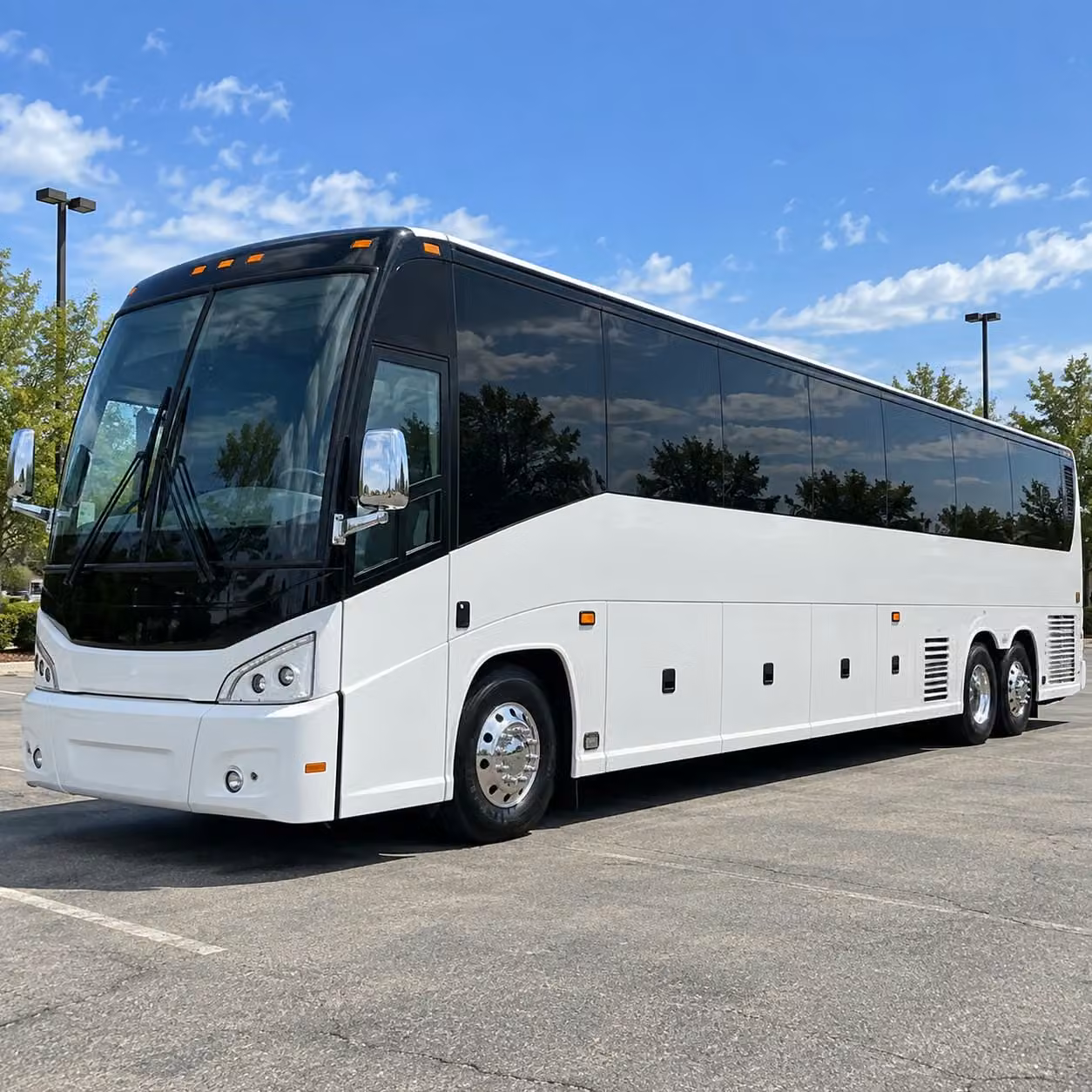 alexandria school field trip group transportation
