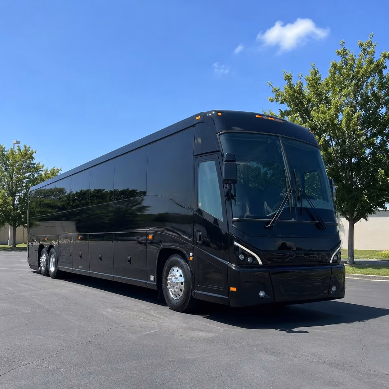 compare airport transportation options in alexandria and beyond