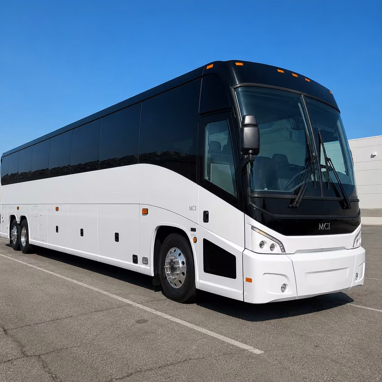 compare long distance transportation options in alexandria and beyond